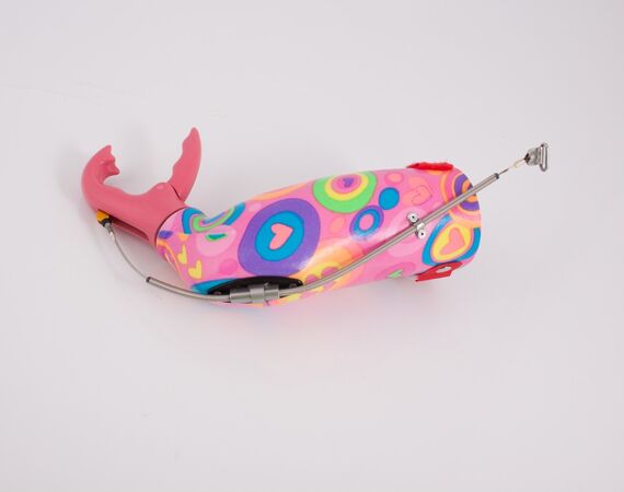 Armprothese inspiratie